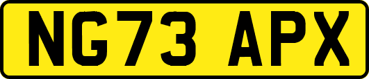 NG73APX