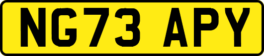 NG73APY