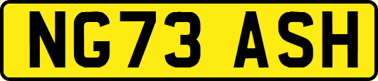 NG73ASH