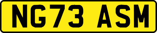 NG73ASM
