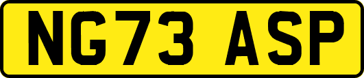 NG73ASP