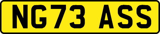 NG73ASS