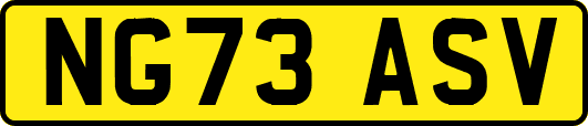 NG73ASV