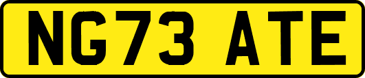 NG73ATE