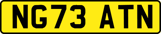 NG73ATN