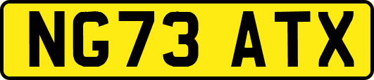 NG73ATX