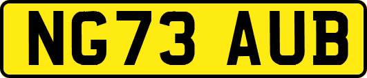 NG73AUB