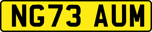 NG73AUM