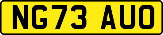 NG73AUO