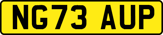 NG73AUP
