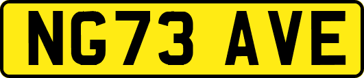 NG73AVE