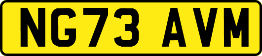 NG73AVM