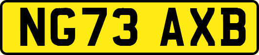 NG73AXB