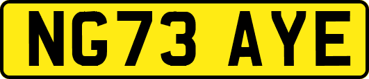 NG73AYE
