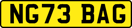 NG73BAG