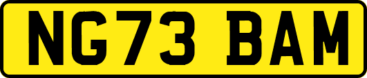 NG73BAM