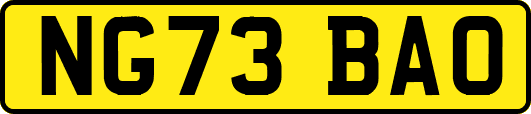 NG73BAO