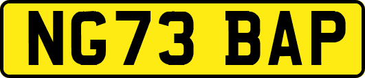 NG73BAP