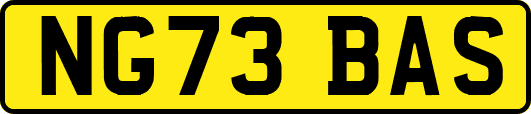 NG73BAS