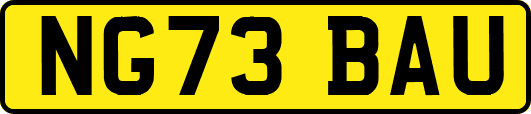 NG73BAU
