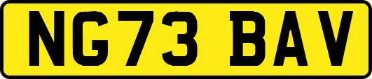 NG73BAV