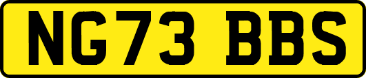 NG73BBS