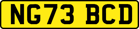 NG73BCD