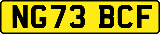 NG73BCF
