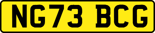 NG73BCG