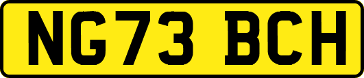 NG73BCH