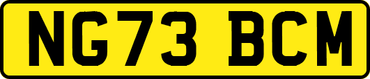 NG73BCM