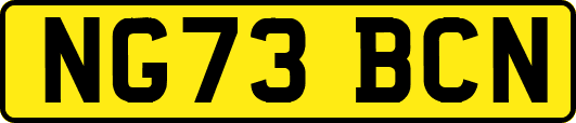 NG73BCN