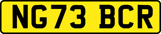 NG73BCR