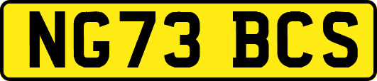 NG73BCS