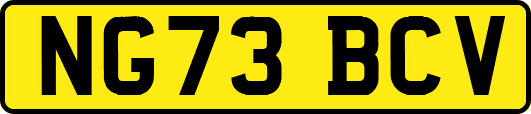NG73BCV