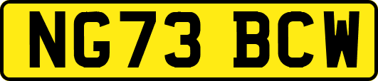 NG73BCW