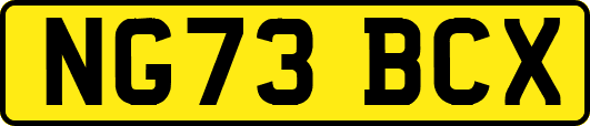 NG73BCX