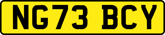 NG73BCY