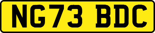 NG73BDC