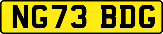 NG73BDG