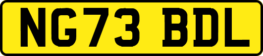NG73BDL