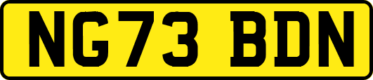 NG73BDN