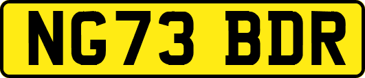 NG73BDR