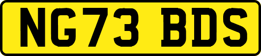 NG73BDS