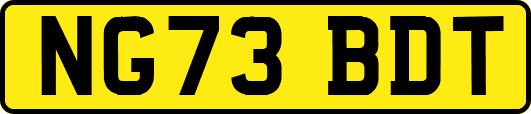NG73BDT
