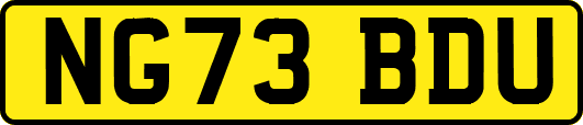 NG73BDU