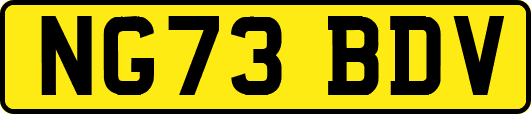 NG73BDV