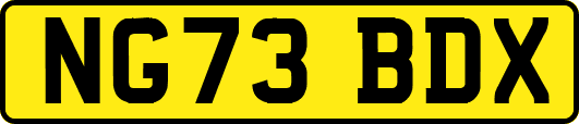 NG73BDX