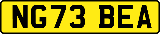 NG73BEA