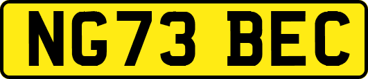 NG73BEC